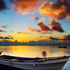 小🐤🐤戳进🍑无遮挡日本
